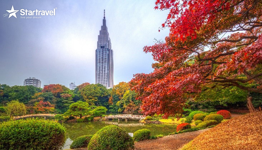 Nhật Bản mùa lá đỏ